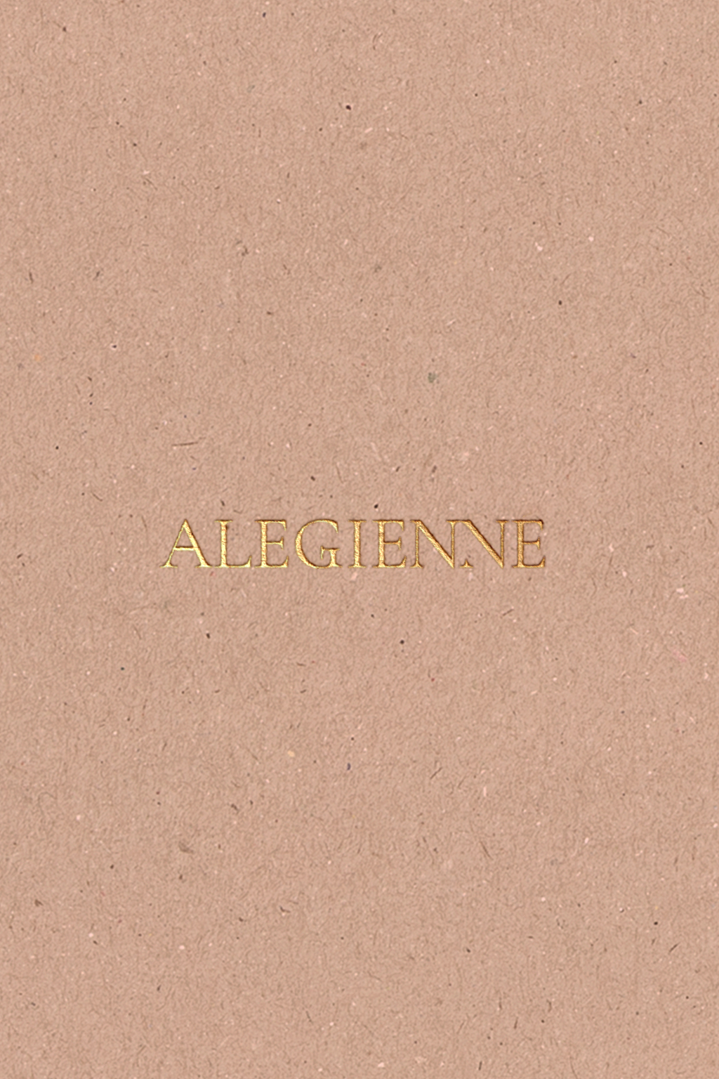 Alegienne brandmark card with logo and visual identity treatment