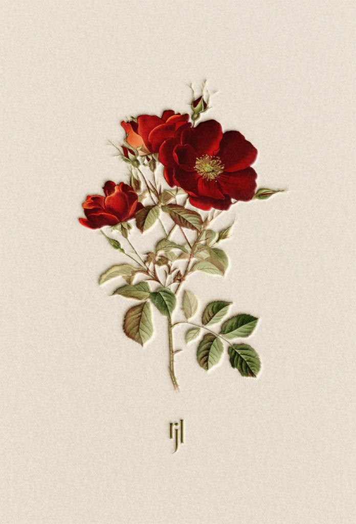 bespoke brandmark illustration for studio rjl.