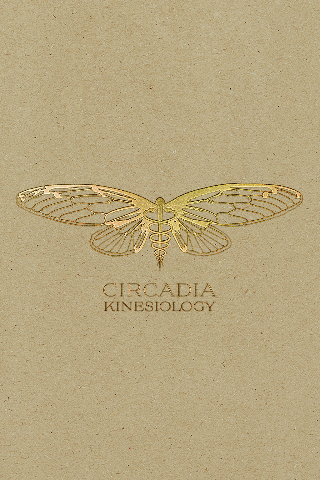 Circadia card brandmark, logo and visual identity design