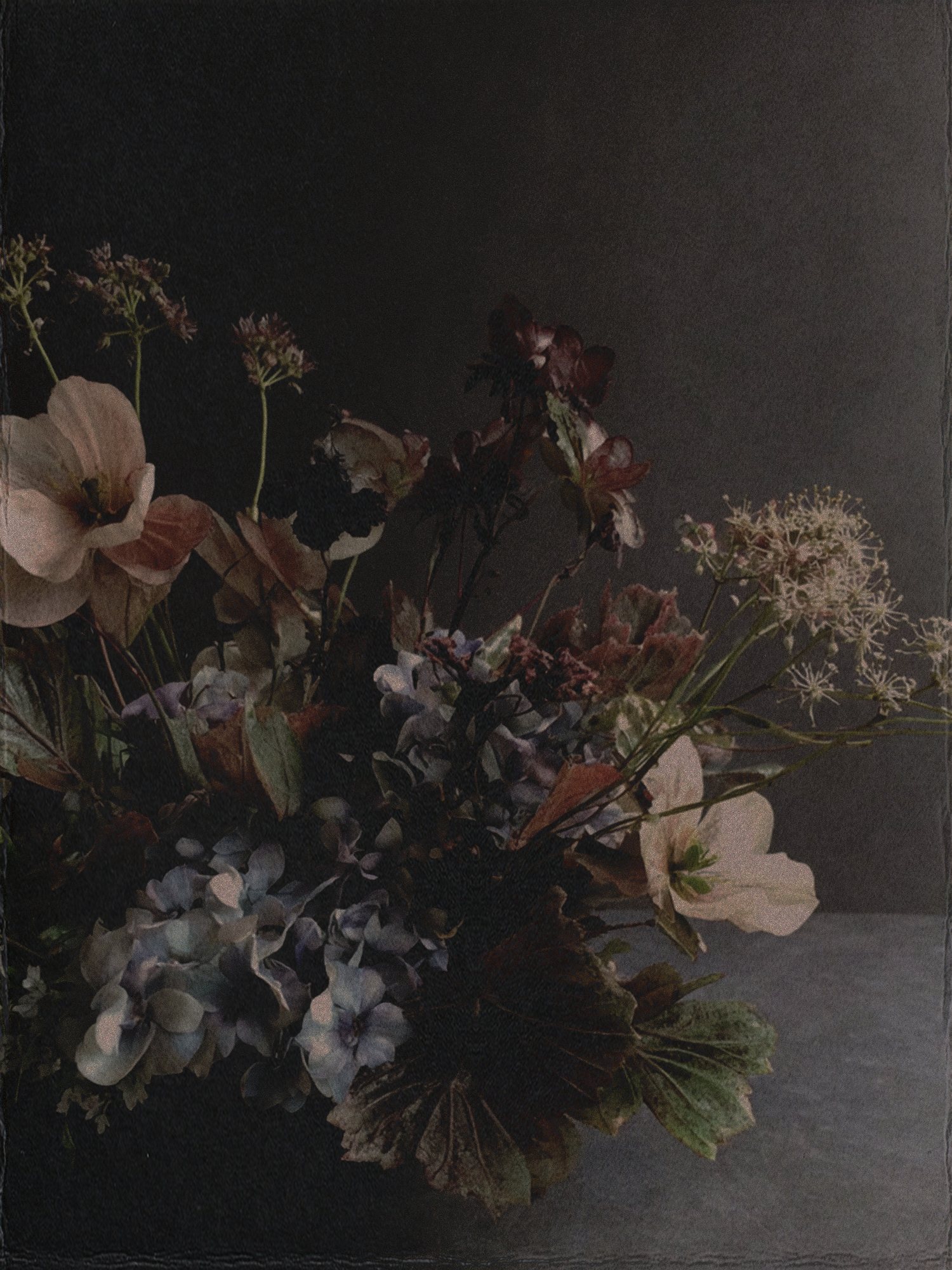 Florah seasonal bouquet brand artwork with moody floral art direction by studio rjl